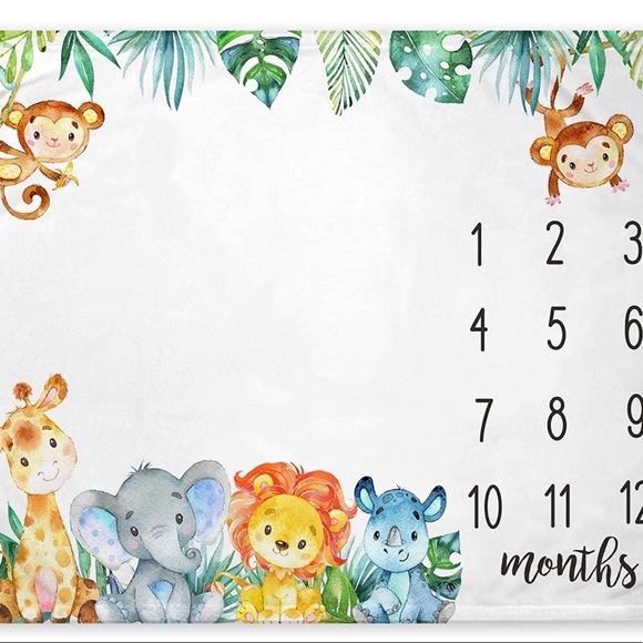 Baby months milestone onesies 1-12 months with personalized matching blanket - Picture 2 of 2